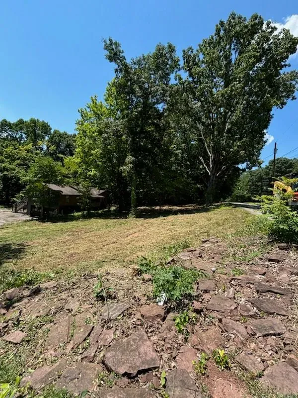 Brush Clearing  for Three Rivers Dirt Works LLC in Knoxville, TN