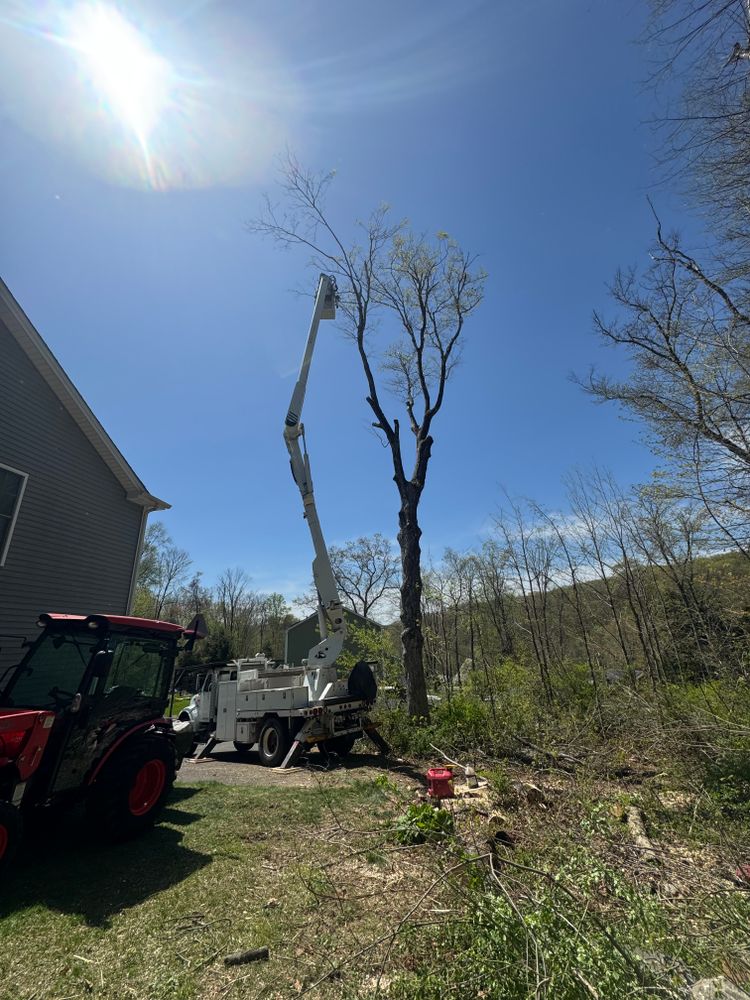 All Photos for Hennessey Tree & Landscape LLC in Oxford,  CT 