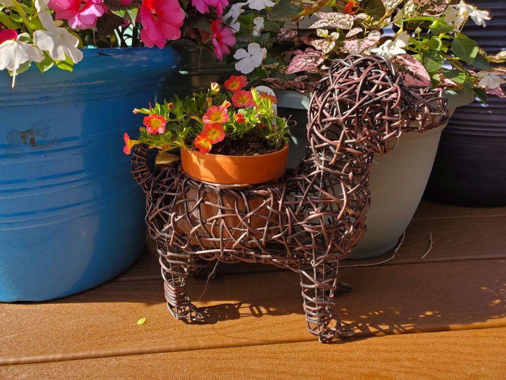 All Photos for Evolution Earthscapes, LLC in Ludlow, MA