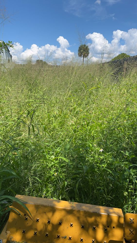 All Photos for Space Coast Property Maintenance and Management LLC in Melbourne, FL