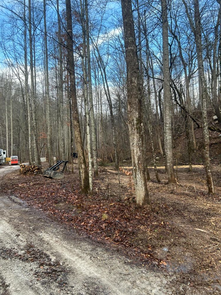 All Photos for Z's Land Management & Forestry Mulching in Smithville, TN