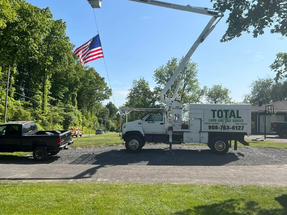 All Photos for Total Tree Service in Washington, NJ