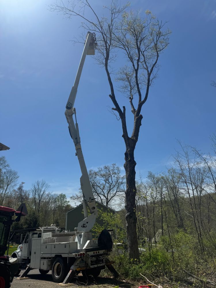 All Photos for Hennessey Tree & Landscape LLC in Oxford,  CT 