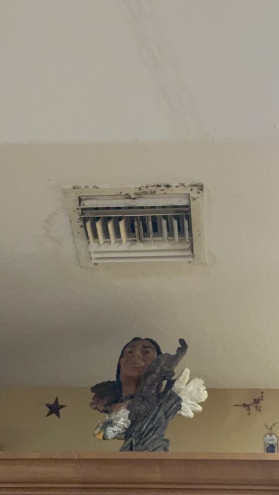 All Photos for N&D Restoration Services: When Disaster Strikes, We Come In in Cape Coral,  FL