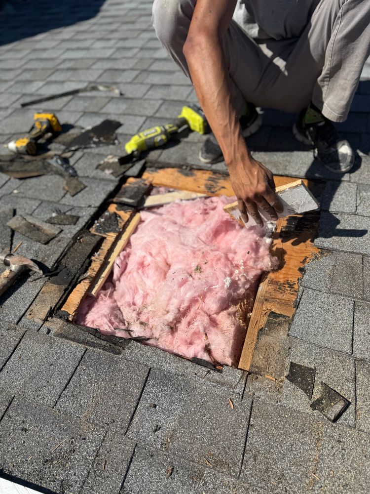 All Photos for Classic Shades Painting Water Damage & Restoration LLC in Mesa, AZ