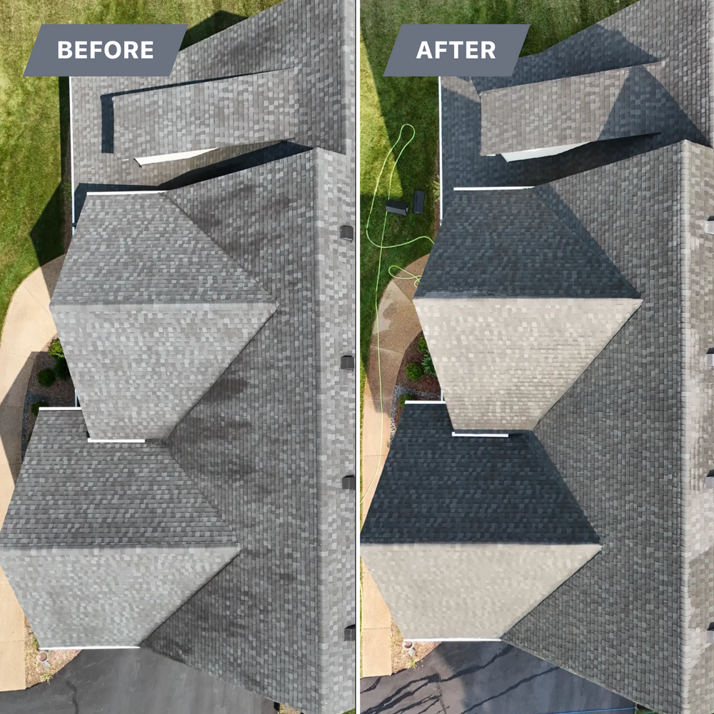 All Photos for LeafTide Solutions in Richmond, VA