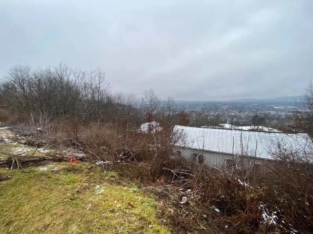 All Photos for Licensed to Cut Tree Service in Athens, PA