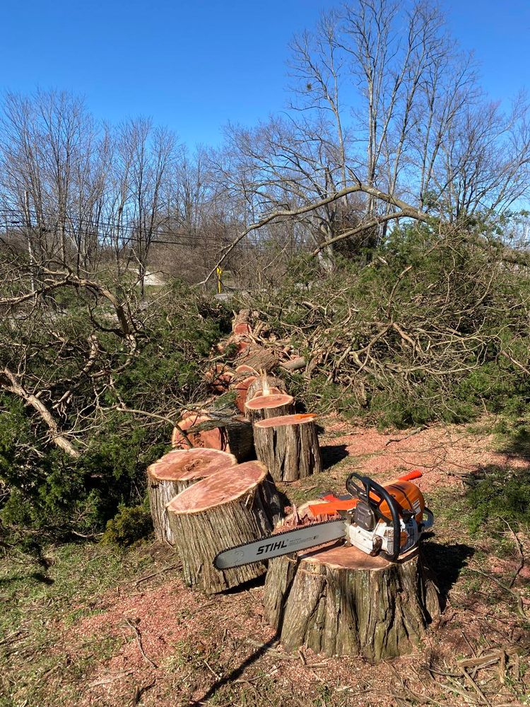 All Photos for Houtz Tree Service in Lexington, KY