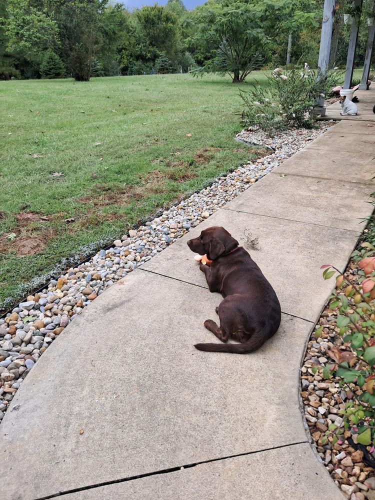 Tunnel's To Towers - ADA Compliant, Deck and Bath for Dead Tree General Contracting in Carbondale, Illinois