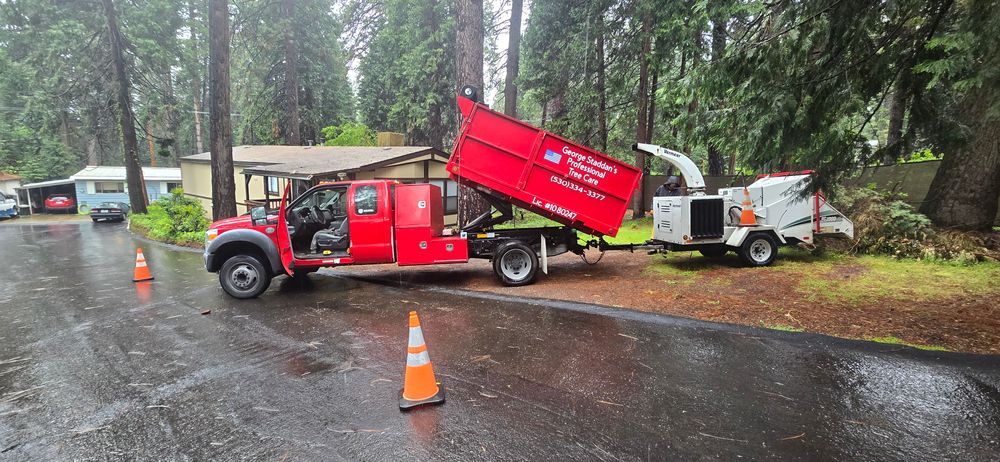 All Photos for George Staddan's Professional Tree Care in Placerville, CA