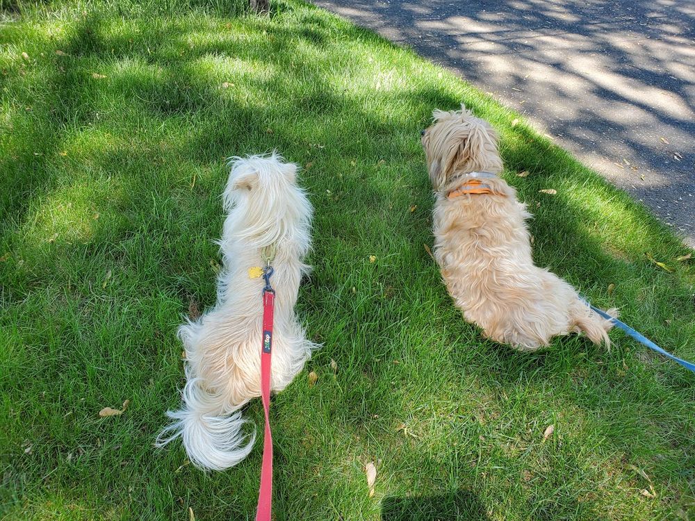 All Photos for Evolution Earthscapes, LLC in Ludlow, MA