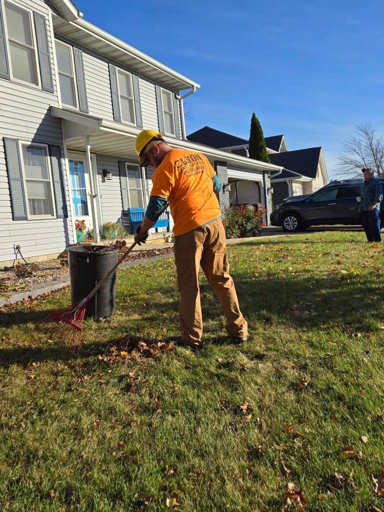 Tree Removal for Olson Tree Service, Inc in Winnebago County, IL