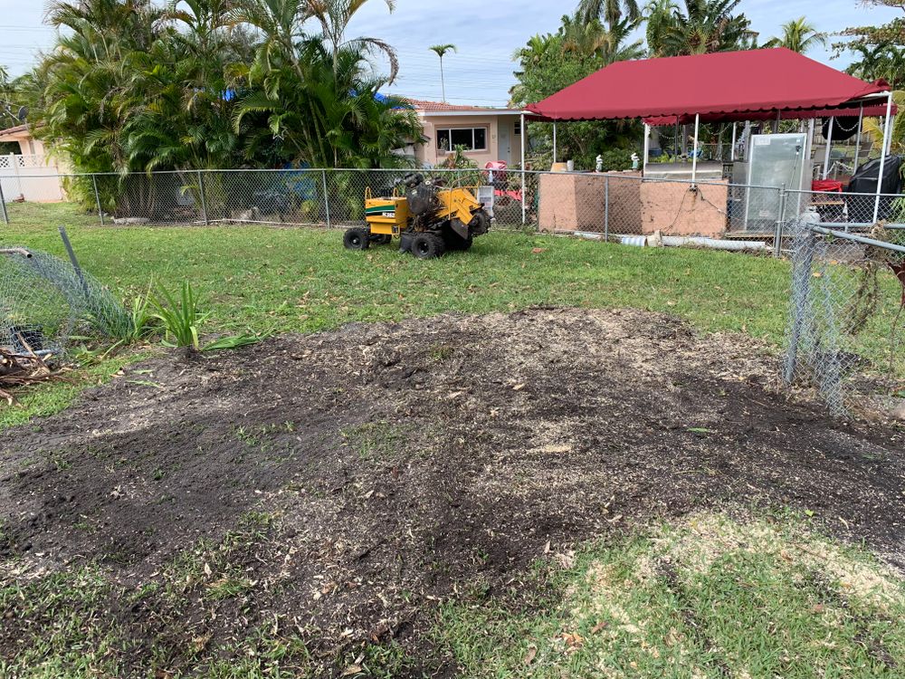 Disaster for Sam's Tree Service in Miami Beach,  FL