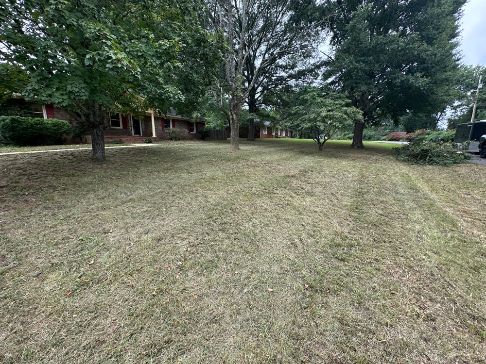 All Photos for Tactical Lawn Maintenance in  Murfreesboro ,  TN