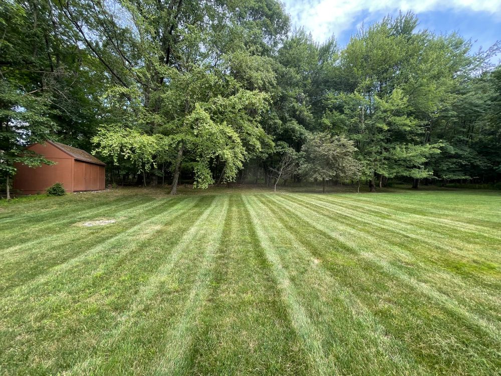 Lawn Care for Ardisi Landscaping & Design in Poughkeepsie, NY 