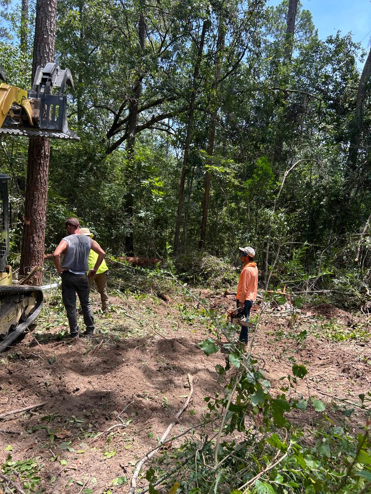 Tree Removal for Broadway & McMullen Construction in Hattiesburg, MS