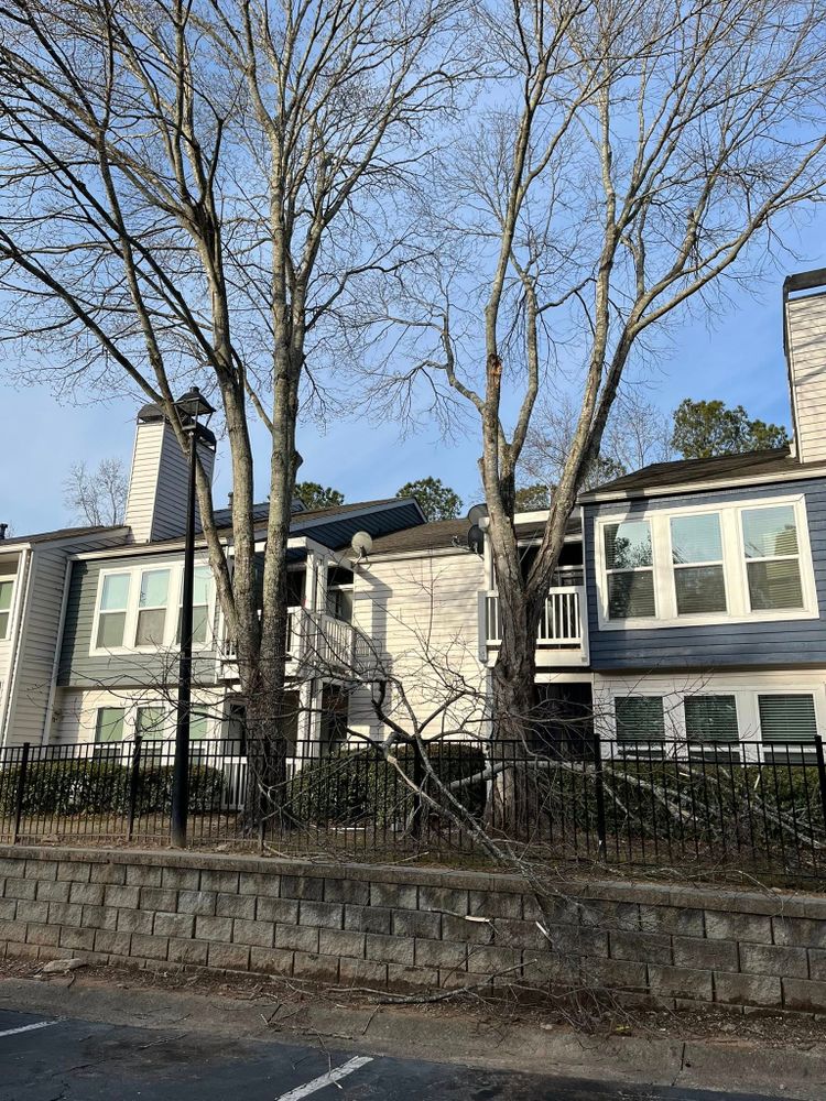 All Photos for High Tree Service & Landscaping in Atlanta, GA
