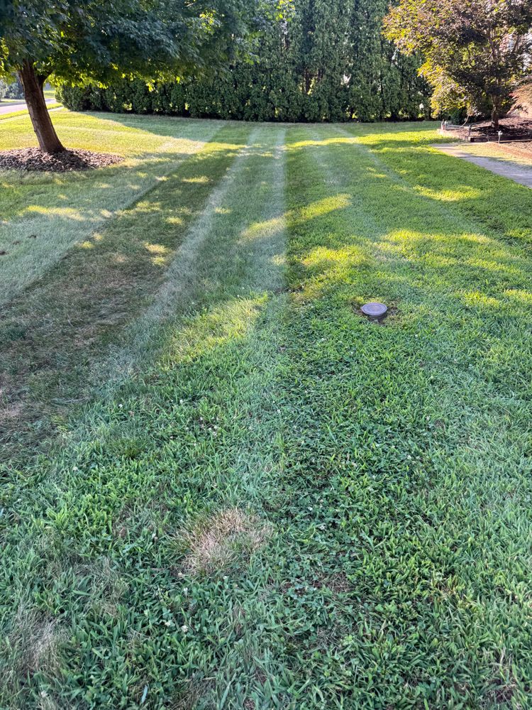 All Photos for Landscape & Lawn Care Pros in Temple, PA