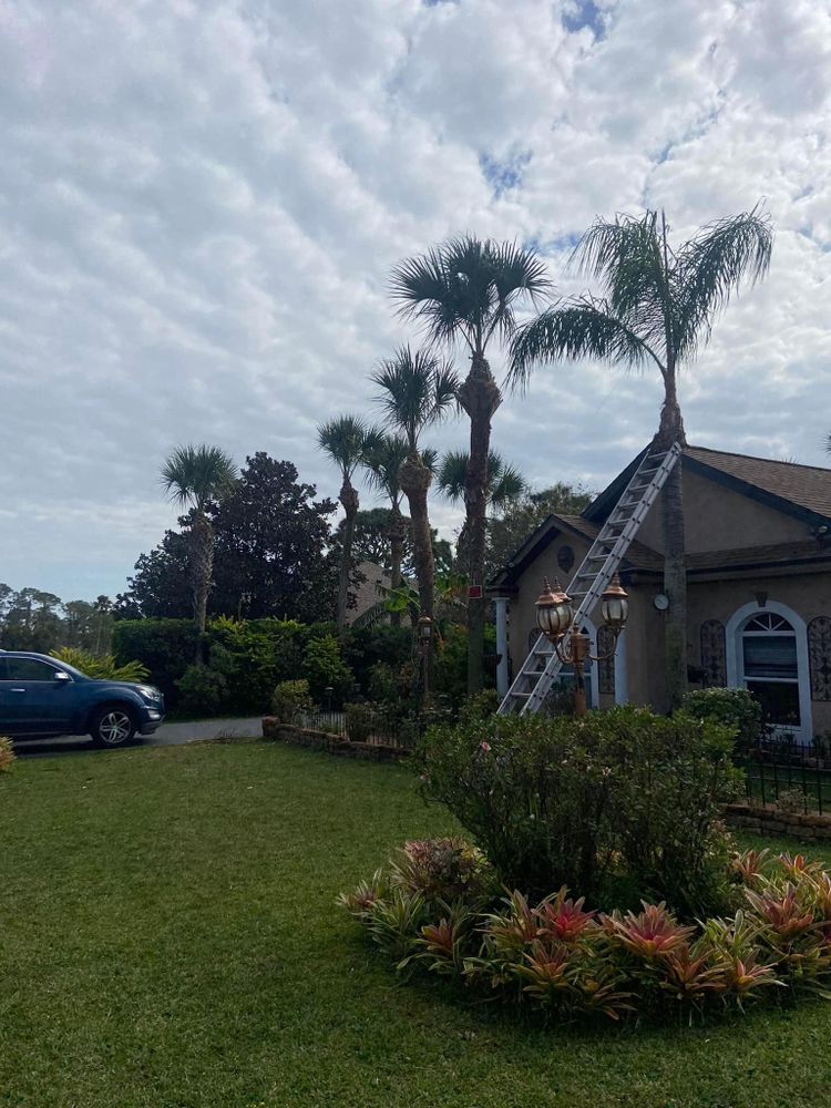 Fall and Spring Clean Up for Efficient and Reliable Tree Service in Lake Wales, FL