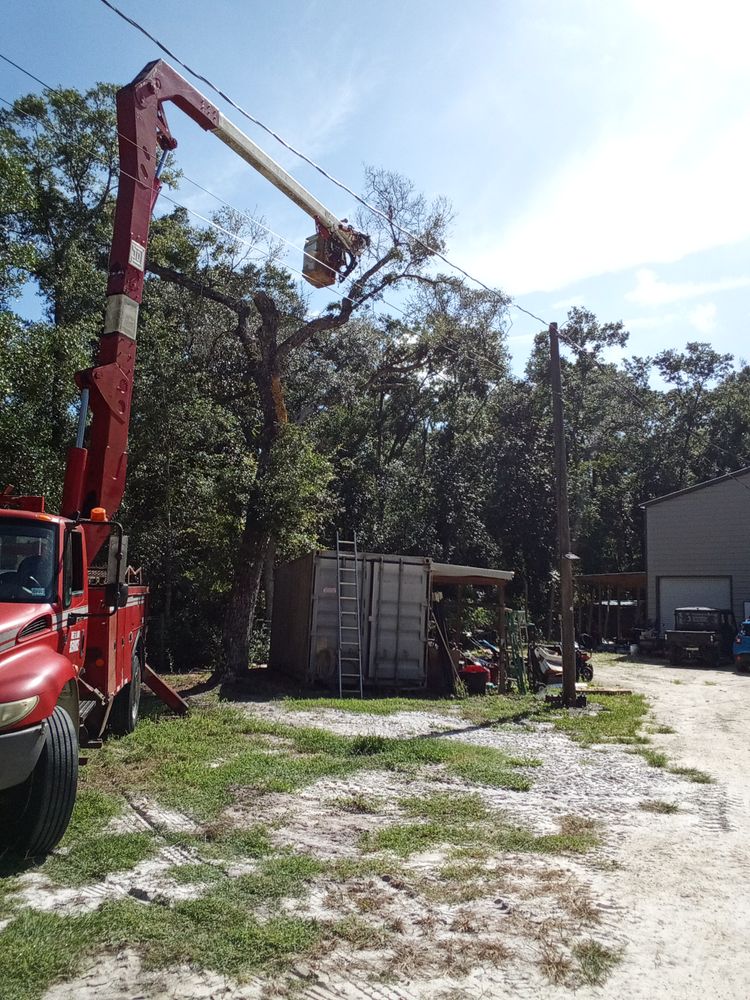 All Photos for Asbell's Tree & Land Services in Gilchrist County, FL