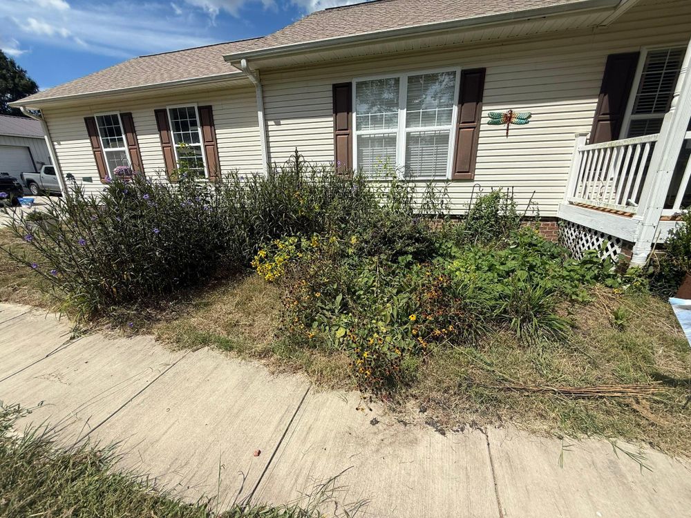 All Photos for Healthy Roots Landscaping in Apex, NC