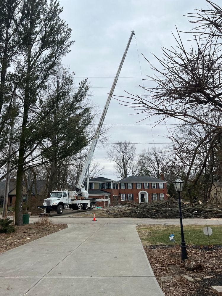 Tree Removal for Down To Earth Tree Service, LLC in Olmsted Falls, OH