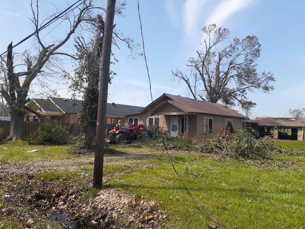 All Photos for Professional Tree Service USA in Chattanooga, TN