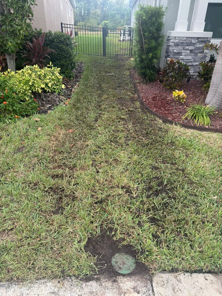 All Photos for Shoreside Property Services in Apollo Beach, FL