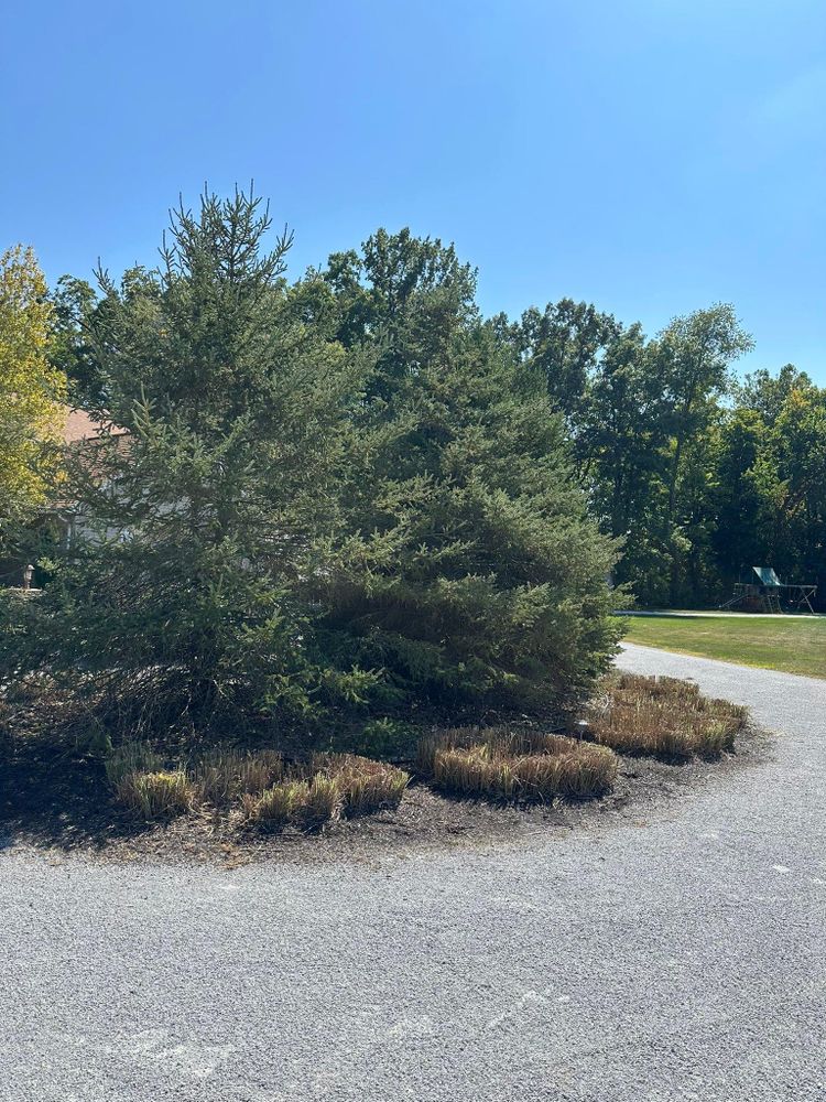 All Photos for OT Lawn and Landscaping LLC in Carey, OH
