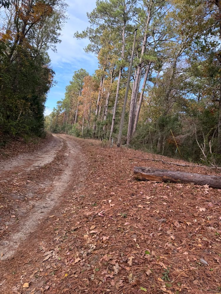 Brush Cutting for A&A Property Maintenance in Jacksonville, NC