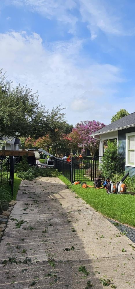 All Photos for Servin's Tree Care  in Houston, TX
