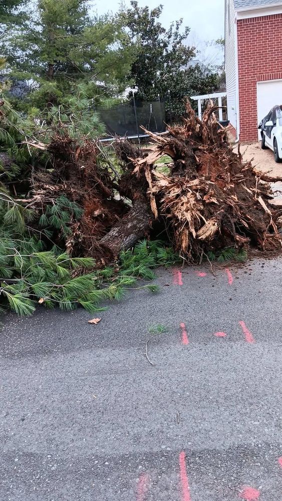 All Photos for Yates Construction & Excavation in Arrington, Tennessee