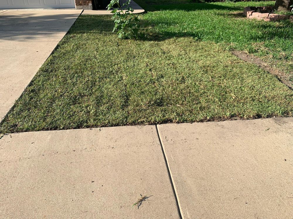 All Photos for Scalpel Lawn Service in Temple, TX