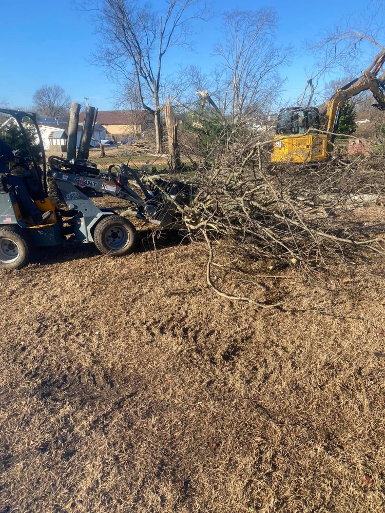 Our professional Tree Removal service ensures safe and efficient removal of trees on your property, including stump grinding to leave a clean landscape. Trust us for all your tree removal needs. for JayBird Tree Service  in Goodlettsville, TN