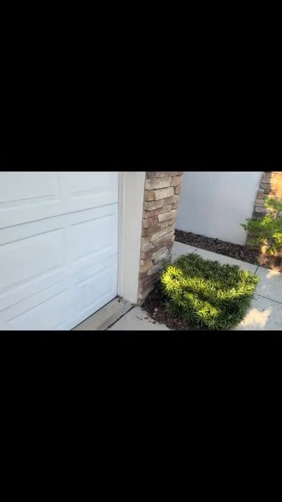 All Photos for The Yardman in Tampa, FL
