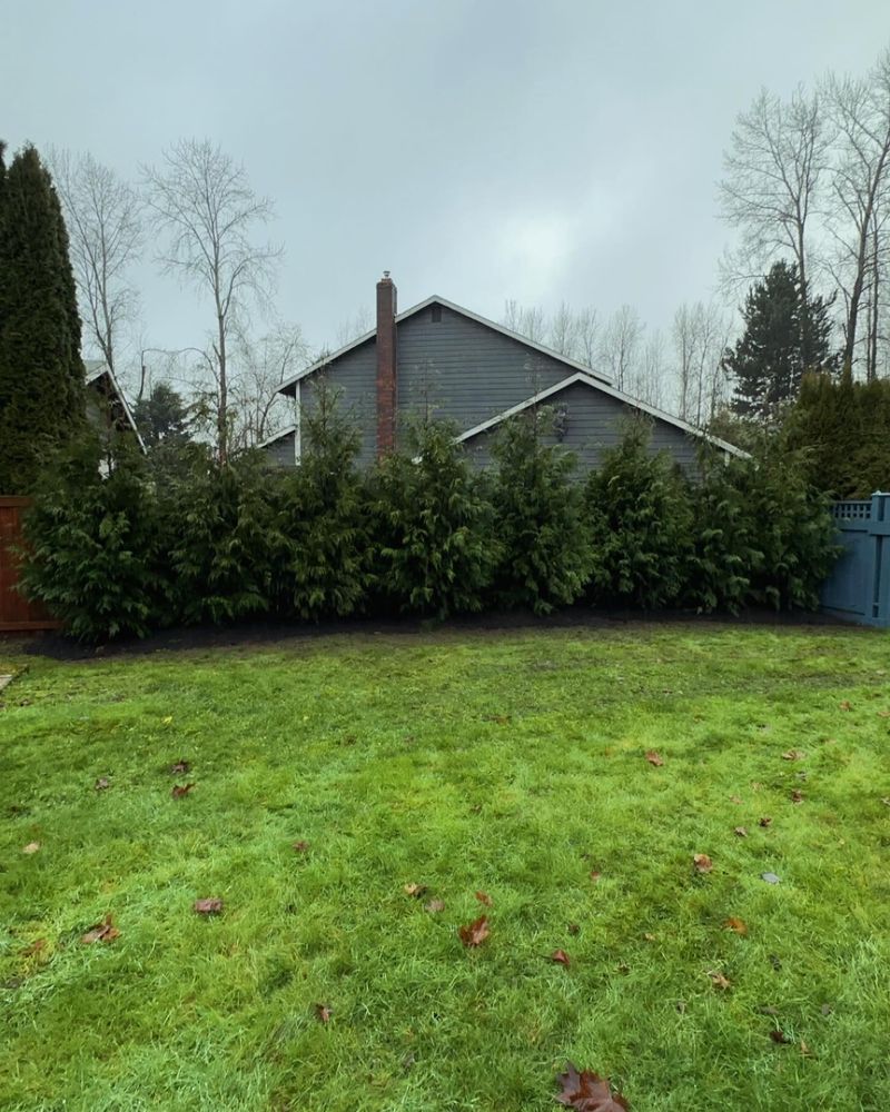 Landscaping for SAW Enterprises  in Arlington , WA