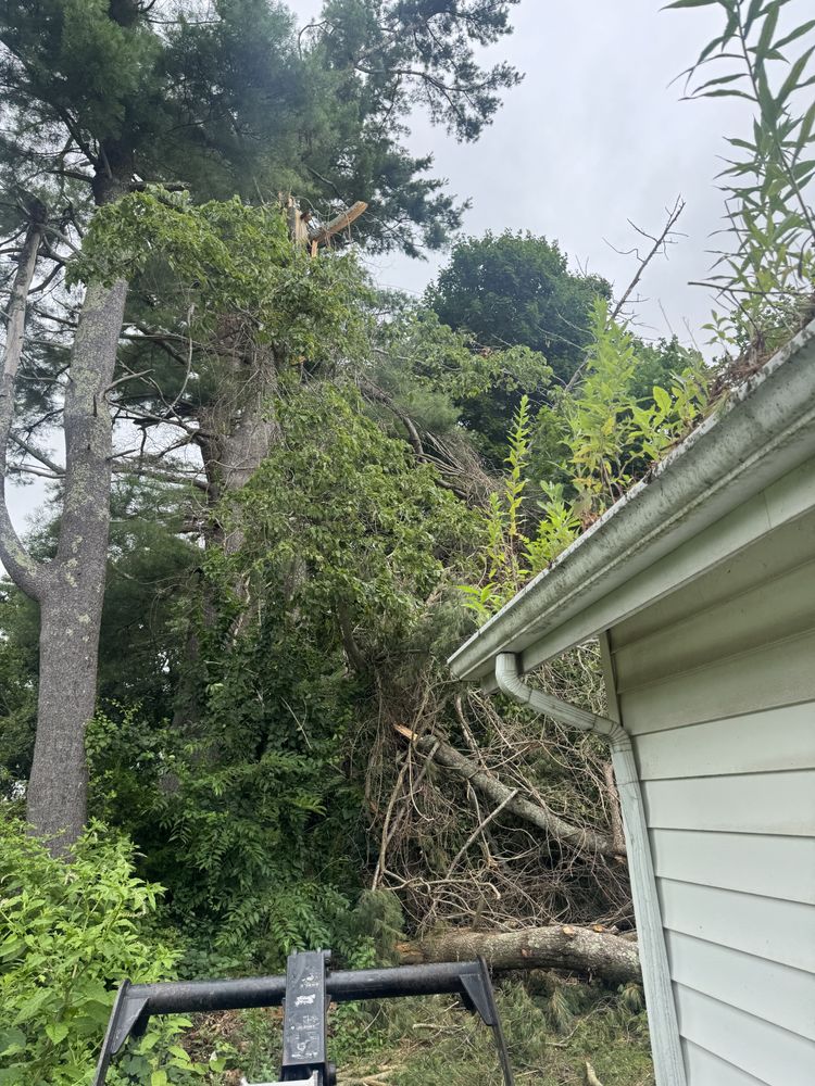 Storm Clean-up for Robery's Tree Service in West Wareham, MA