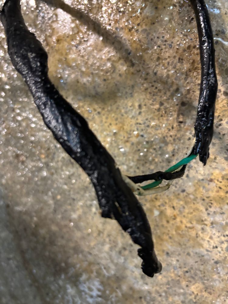 All Photos for Electrical Power Design in Concord, NC