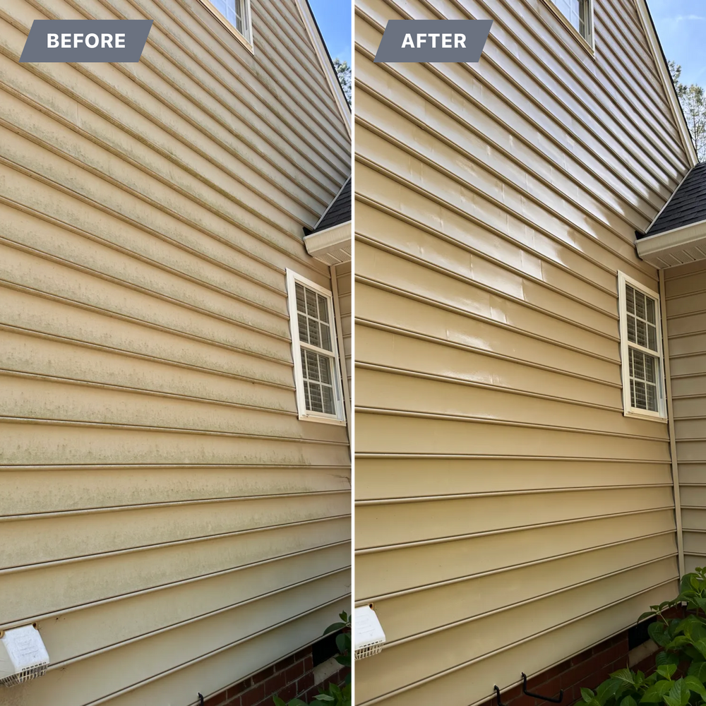 All Photos for LeafTide Solutions in Richmond, VA