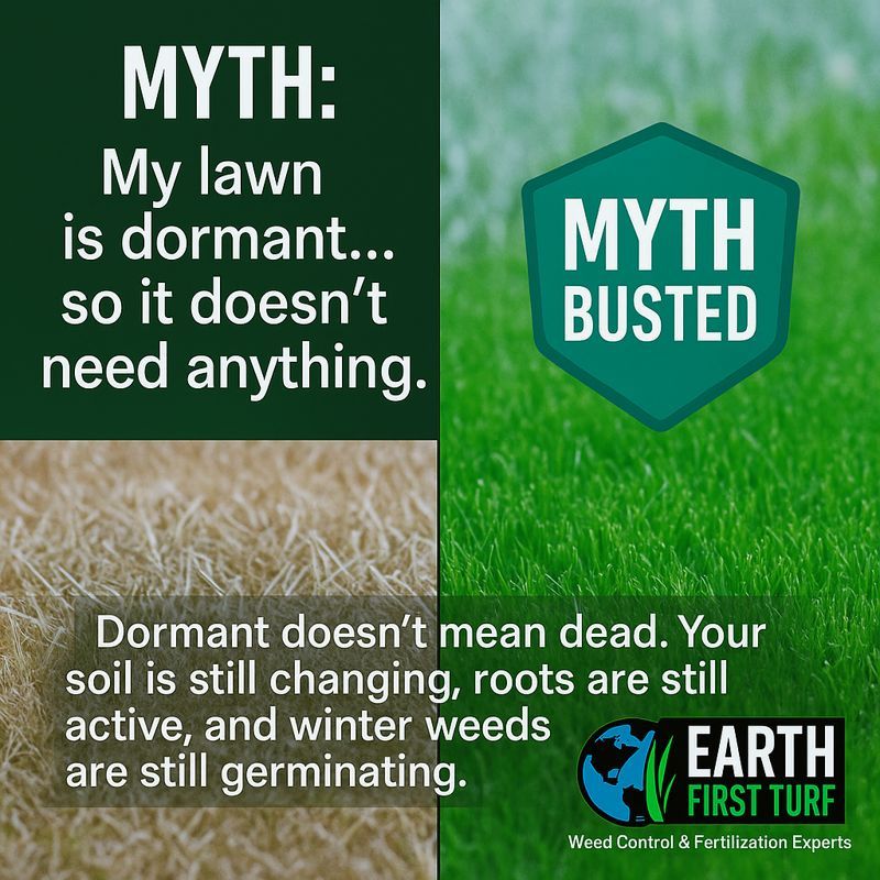 All Photos for Earth First Turf, LLC in Cherokee County, GA