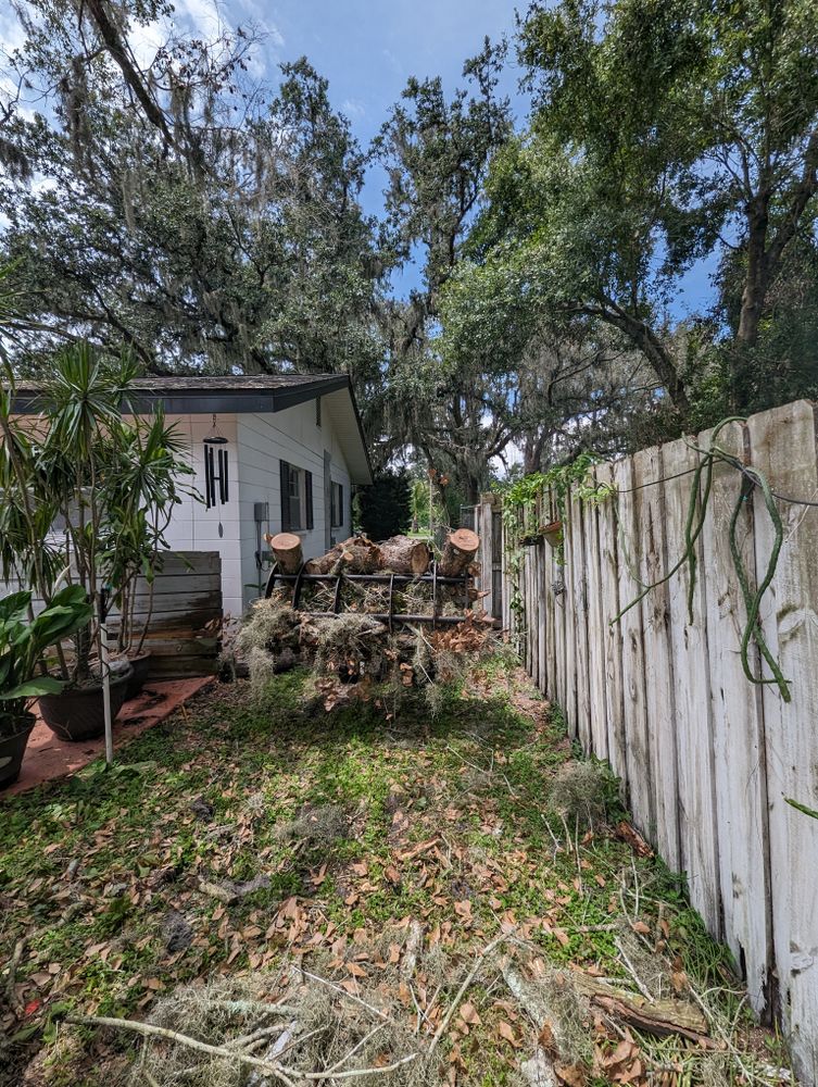 All Photos for Regal Tree Service and Stump Grinding in Wauchula, FL