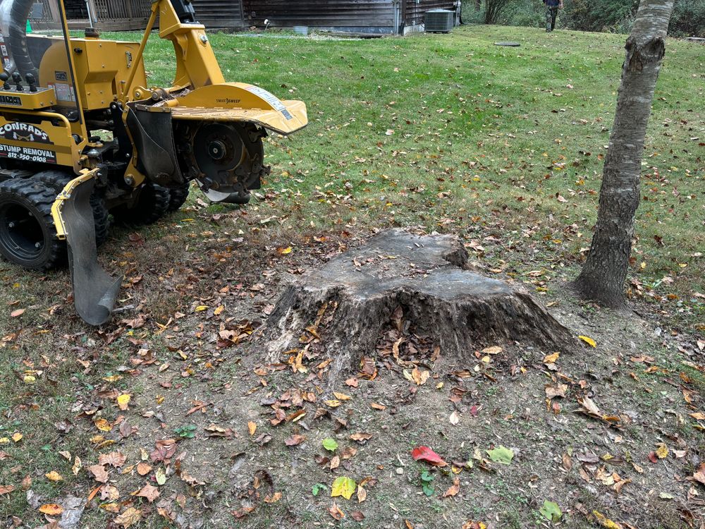 All Photos for Conrad's Stump Removal in Columbus, IN