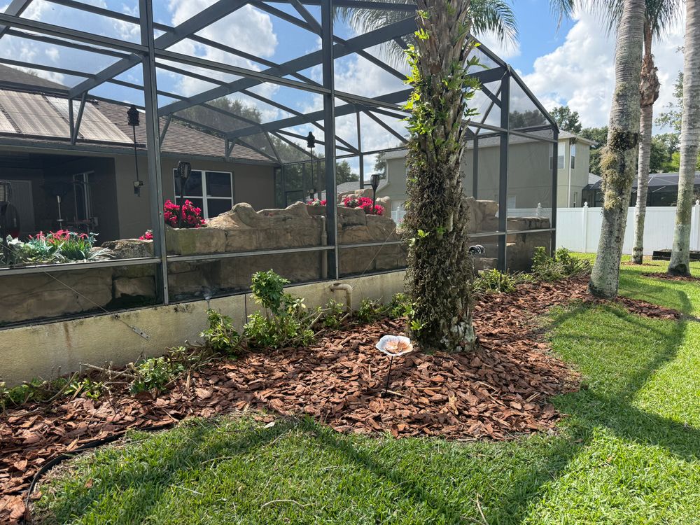 All Photos for Amerigrown Tree And Lawn in Apopka, FL