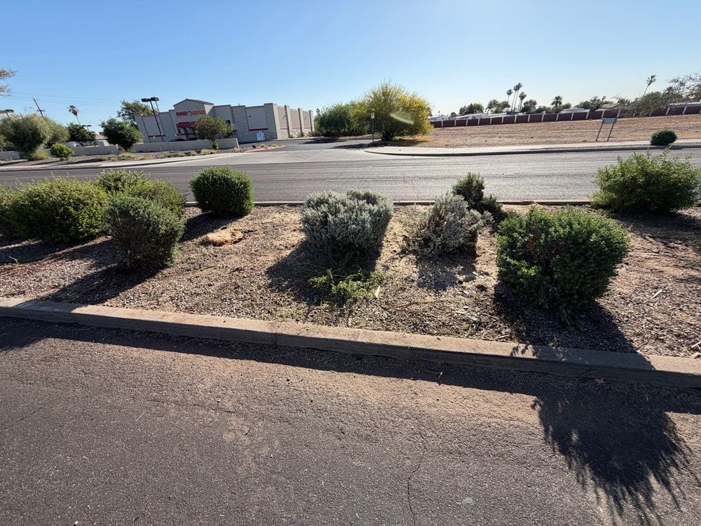 All Photos for Grand Canyon State Landscape Inc. in Surprise, AZ