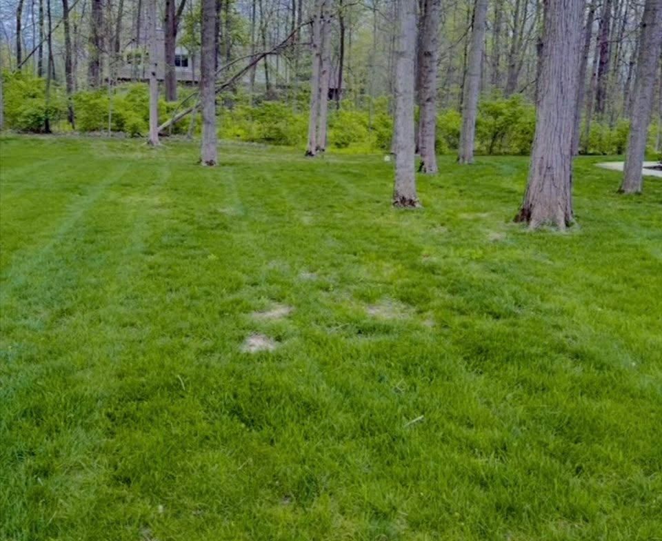 All Photos for Bearforce Lawn Care LLC in Greenfield, IN