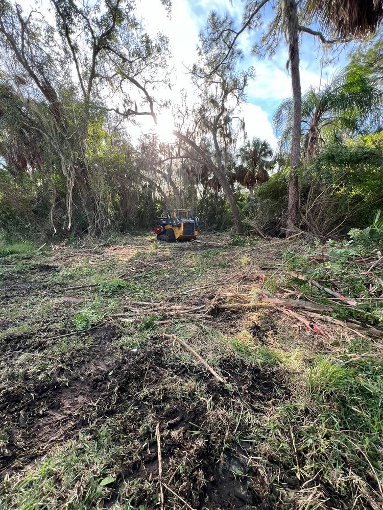 Tree Removal for TREE BOYS in Ruskin, FL