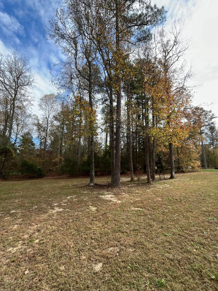 All Photos for C + C Landscaping in Chesterfield, VA