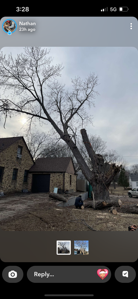 Trees for K and Z Lawn Care in Andover, MN