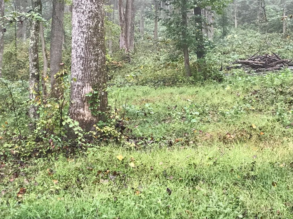 All Photos for 9999 Building and Renovation LLC in Warrenton, VA