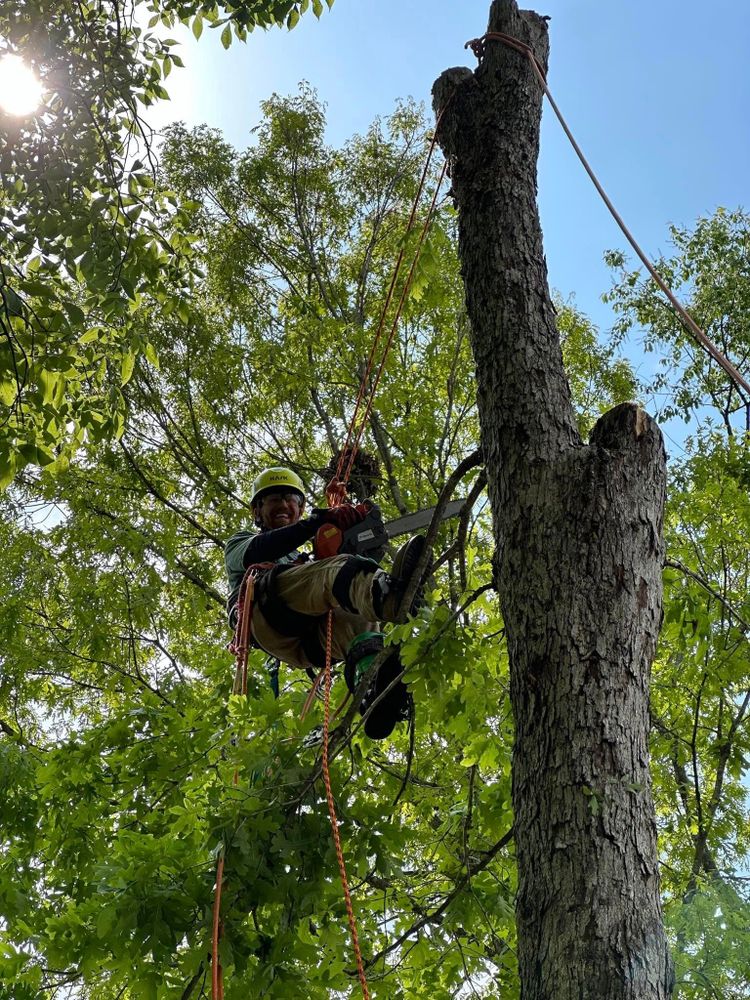 Red Roosters Tree Services team in Bedford, VA - people or person